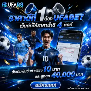 เว็บแทงบอล มือถือ